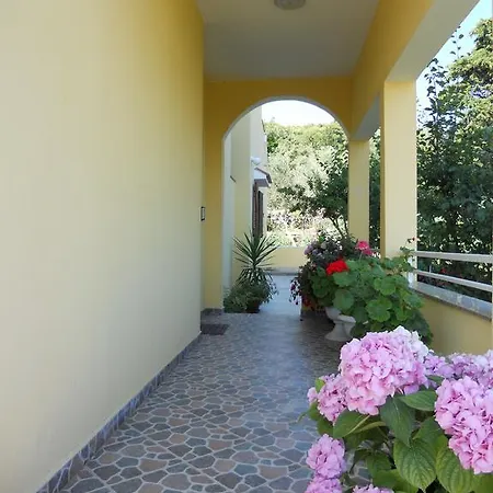 Grzanov * Sutomiscica