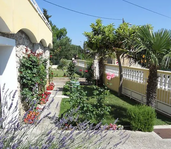 Grzanov *