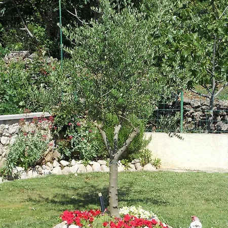 Grzanov Apartmán *