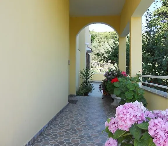 Grzanov * Sutomiscica